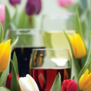 Spring Wine Selection: case of 6 bottles